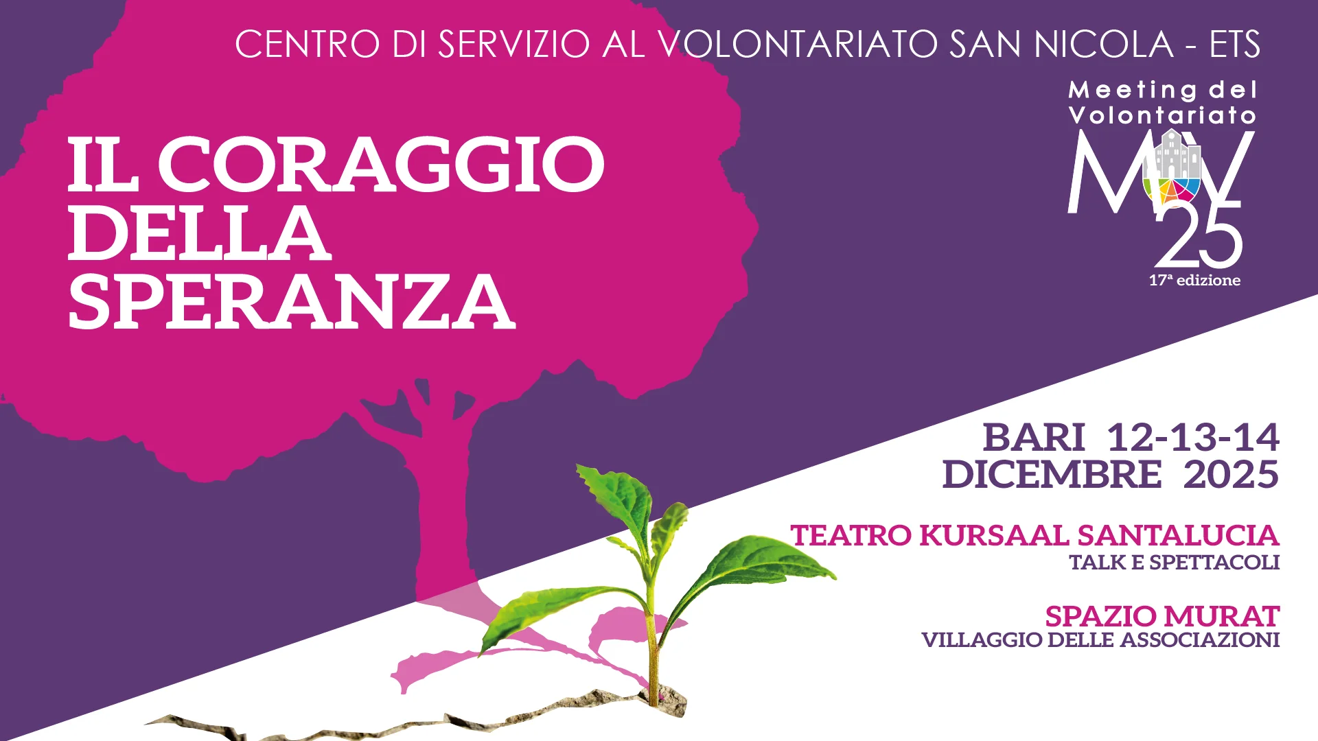 Copertina ufficiale del Meeting del Volontariato 2025 – Il coraggio della speranza
